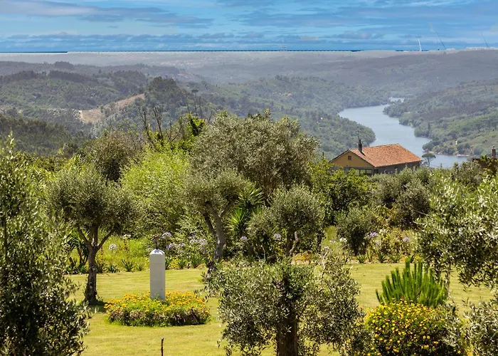 Quinta Dos Covais Al