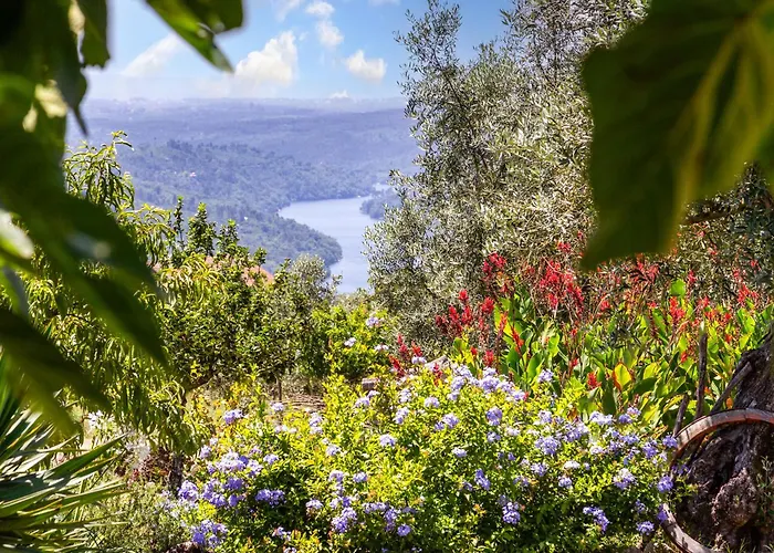 Quinta Dos Covais Al